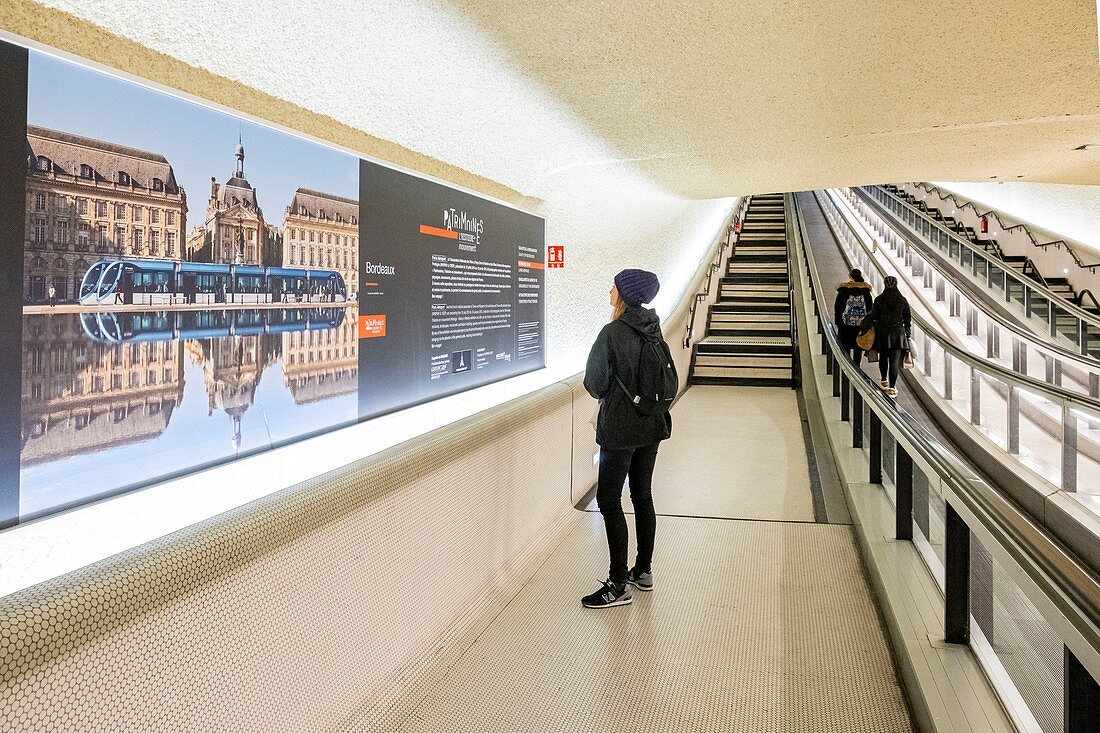 France, Val d'Oise, Roissy en France, Roissy Terminal 1 Airport, Anvpah exhibition on the Patrimoines in Motion with the ADP