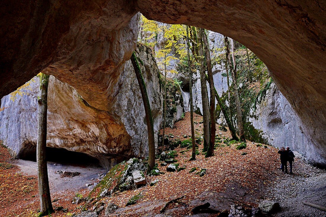 France, Doubs, Liebvillers, Bisontin cave