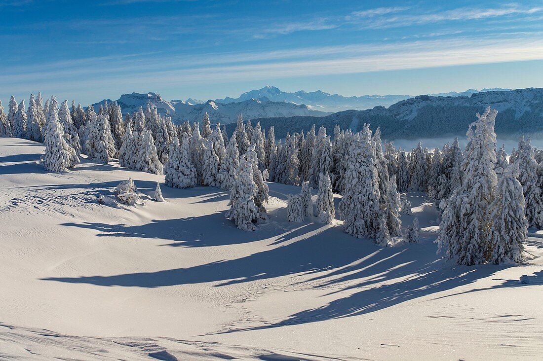 Frankreich, Haute Savoie, massive Bauges, oberhalb von Annecy an der Grenze zur Savoie, dem Semnoz-Plateau außergewöhnliches Belvedere auf den Nordalpen,