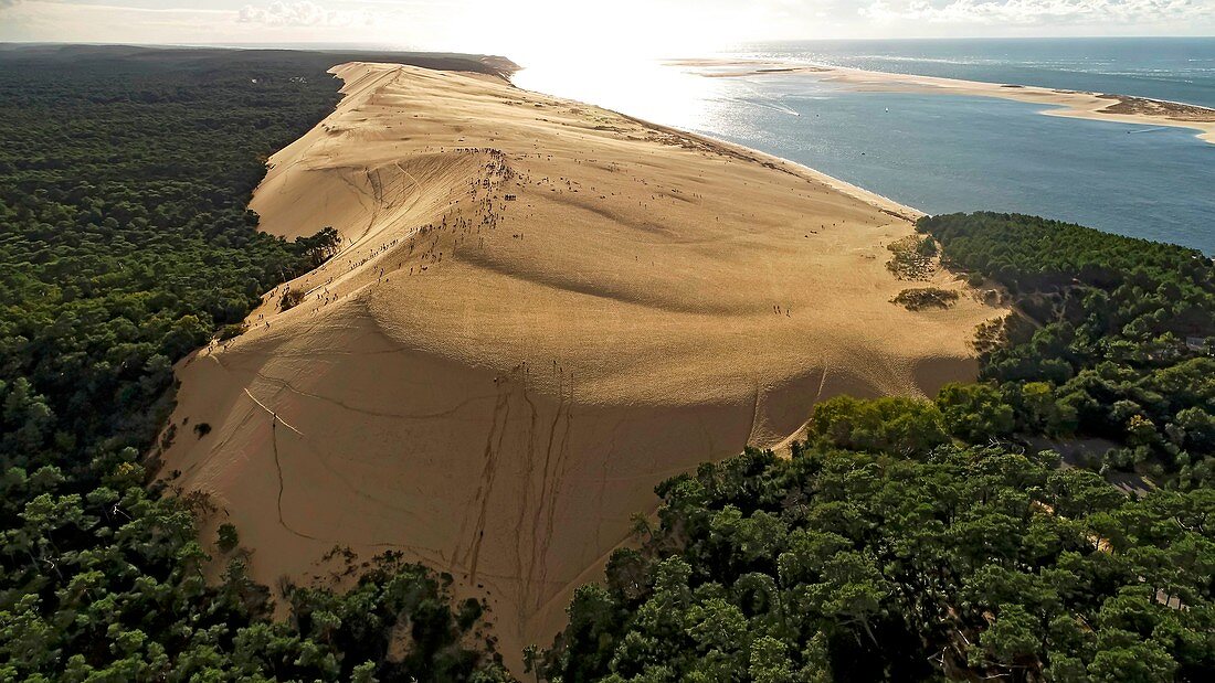 Frankreich, Gironde, Bassin d'Arcachon, La Teste-de-Buch, Pyla-sur-Mer, Dune du Pilat (Luftaufnahme)