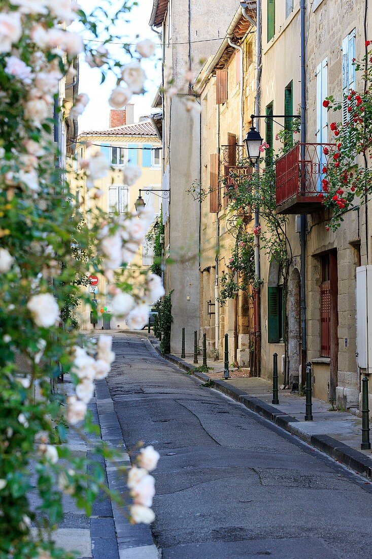 France, Drome, Valence, Saint James Street