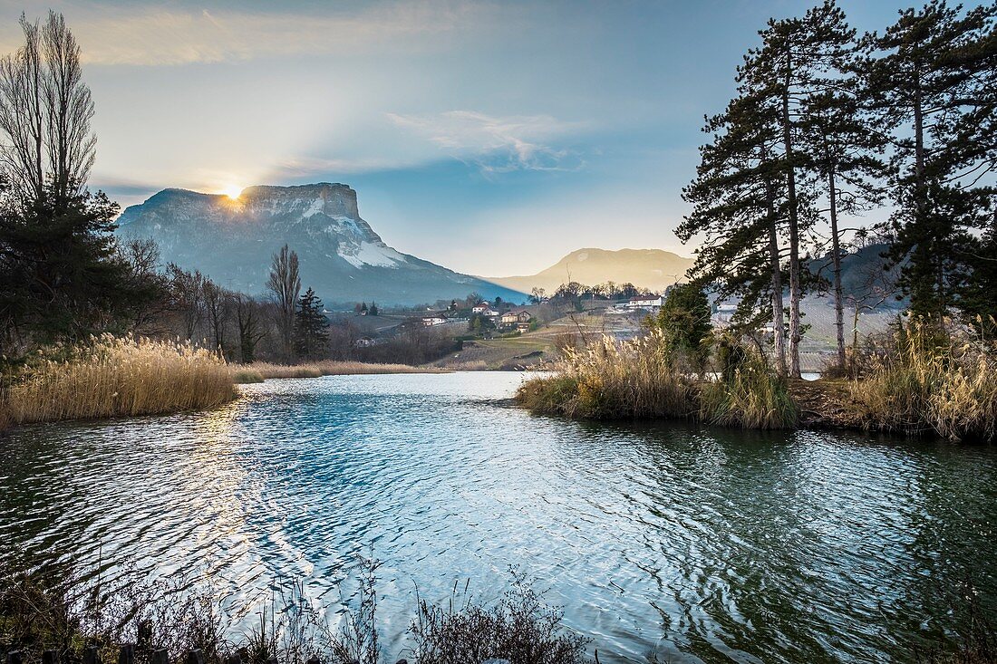 France, Savoie, Les Marches, Lake Saint André in the heart of the Combe de Savoie vineyards, Mount Granier (alt : 1 933 m) in the Chartreuse massif in the background