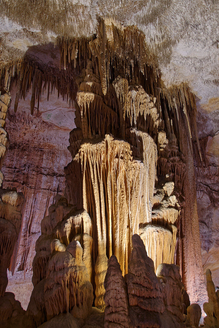 Verzierte Säulen, die von vielen hängenden Stalaktiten und aufsteigenden Stalagmiten gebildet werden, die sich vereinigen, Drach-Höhlen (Cuevas del Drach), Mallorca, Balearen, Spanien, Mittelmeer, Europa