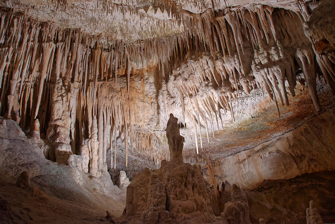 Innenbereich von überfluteter Kalksteinhöhle mit vielen Stalaktiten und Stalagmiten, Drachhöhlen (Cuevas del Drach), Porto Cristo, Mallorca, Balearen, Spanien, Mittelmeer, Europa