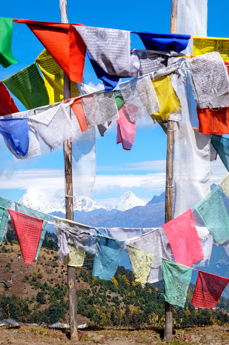 Buddhist prayer flags at Chelela Pass against snowcapped Himalayas, Bhutan, Asia