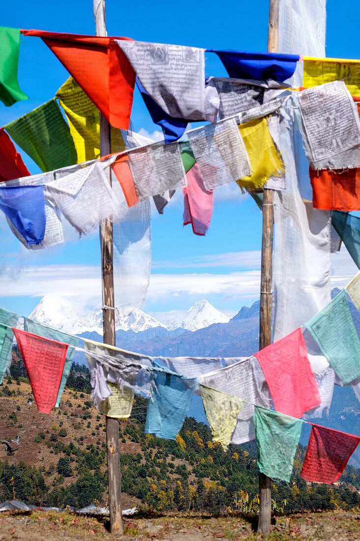 Buddhistische Gebetsfahnen am Chelela-Pass gegen schneebedeckten Himalaya, Bhutan, Asien