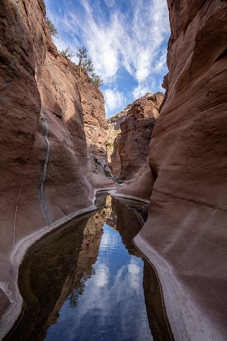 Süßwasser in einer Schlitzschlucht am Mesquite Canyon, Sierra de la Giganta, Baja California Sur, Mexiko, Nordamerika