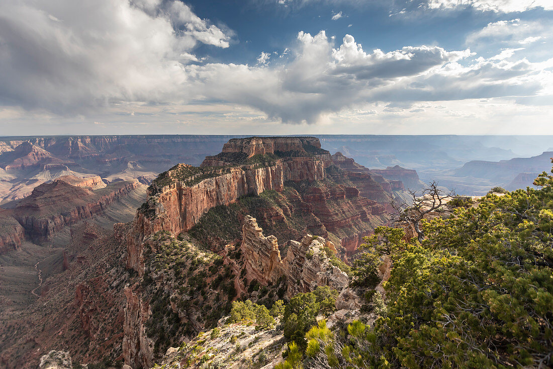 Blick vom Cape Royal Point auf den Nordrand des Grand Canyon National Park, UNESCO-Weltkulturerbe, Arizona, Vereinigte Staaten von Amerika, Nordamerika
