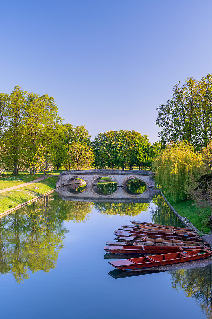 The Backs, Trinity College, Trinity Bridge over River Cam, Cambridge, Cambridgeshire, England, United Kingdom, Europe