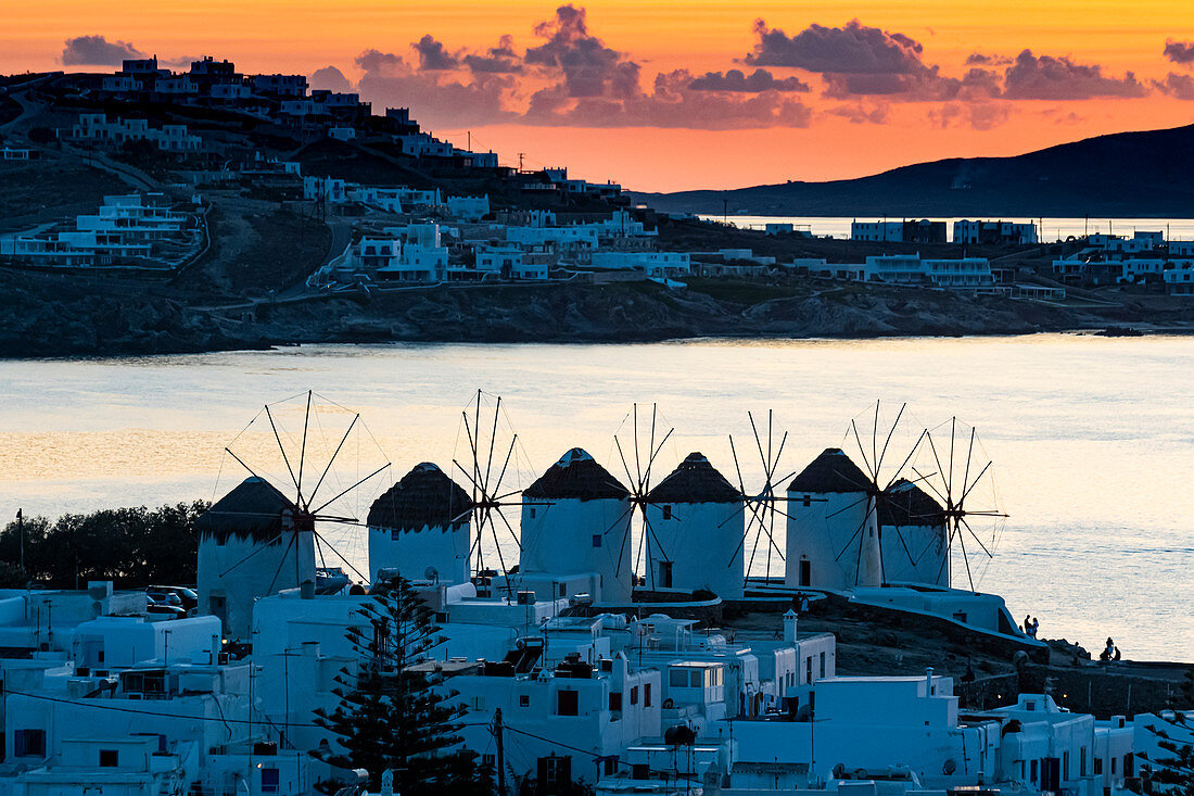 Die Windmühlen (Kato Milli) bei Sonnenuntergang, Horta, Mykonos, Kykladen, griechischen Inseln, Griechenland, Europa