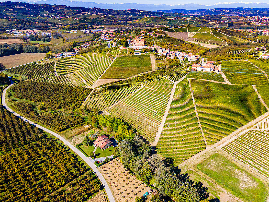 Aerial of the vineyards around Castle of Grinzane Cavour, Barolo wine region, UNESCO World Heritage Site, Piedmont, Italy, Europe