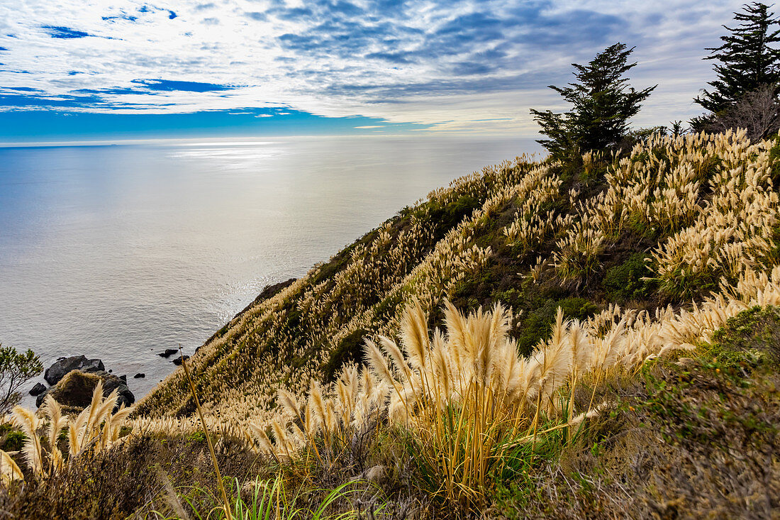 Ocean view near Partington Cove off Highway 1, California, United States of America, North America