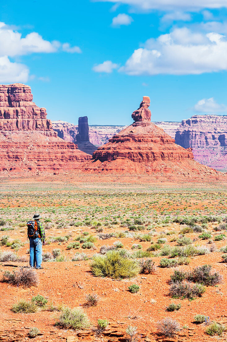 Man contemplating landscape, Valley of the Gods, Utah, USA