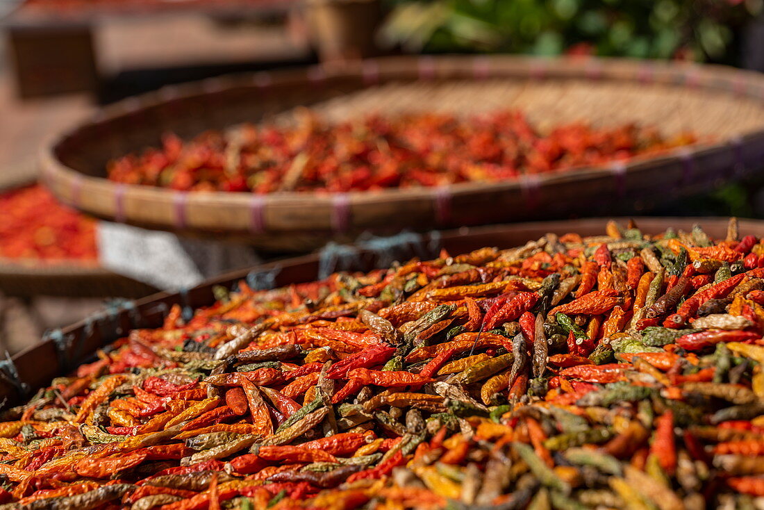 Hot red chillies drying in the sun at the street market, Luang Prabang, Luang Prabang Province, Laos, Asia
