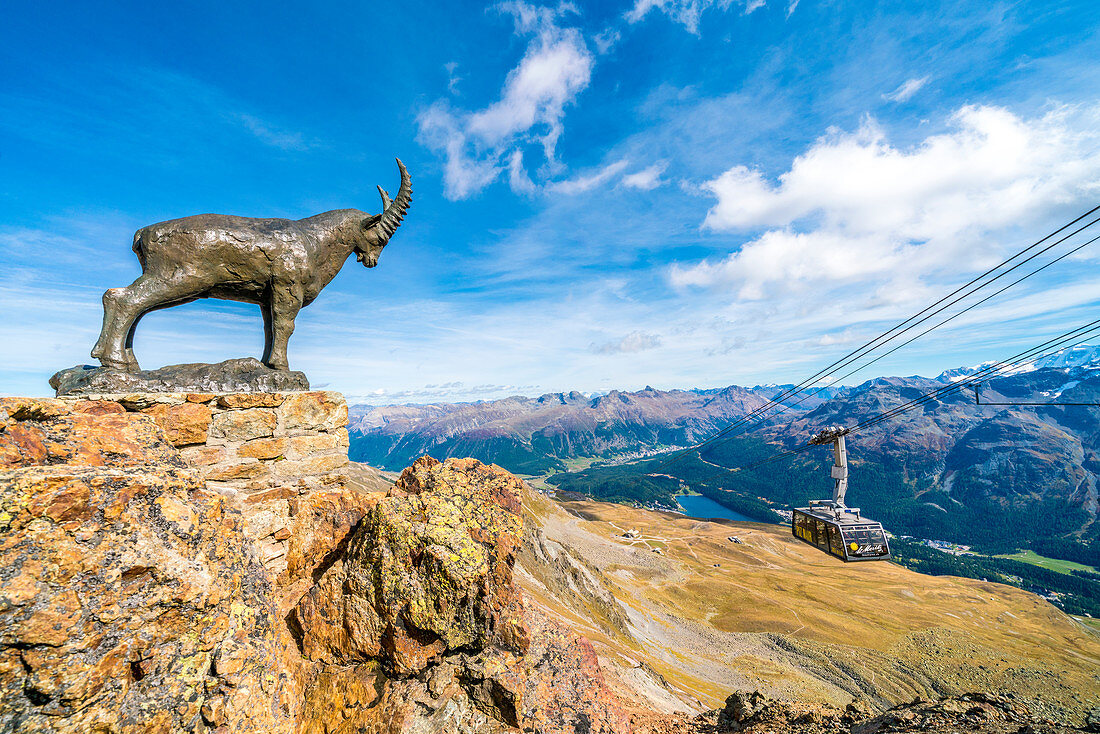 Ibex statue on rocks surrounding the cable car going up to Piz Nair, St Moritz, Engadine, canton of Graubunden, Switzerland, Europe