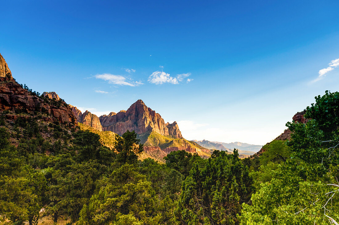 Szenische Ansicht im Zion-Nationalpark, Utah, Vereinigte Staaten von Amerika, Nordamerika