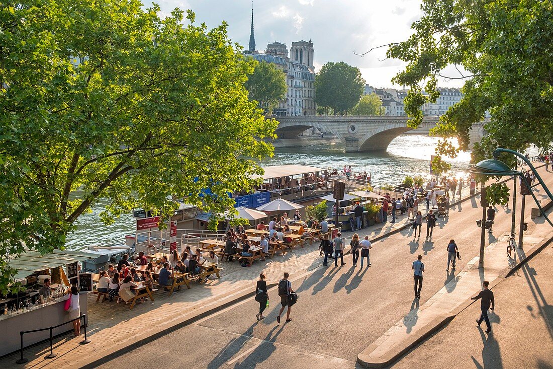 Frankreich, Paris, Gebiet, das von der UNESCO zum Weltkulturerbe erklärt wurde, Rives de Seine Park und Cafés am Fluss, Notre Dame im Hintergrund