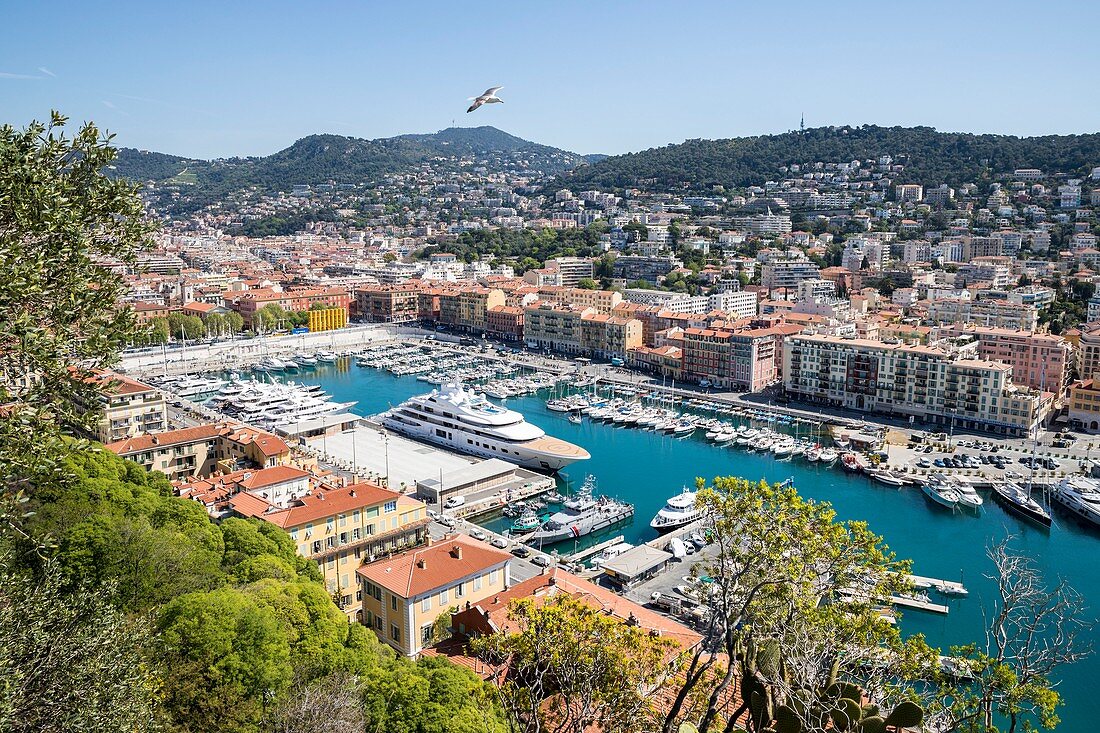 France, Alpes Maritimes, Nice, the old port or port Lympia from the Colline du Ch?teau