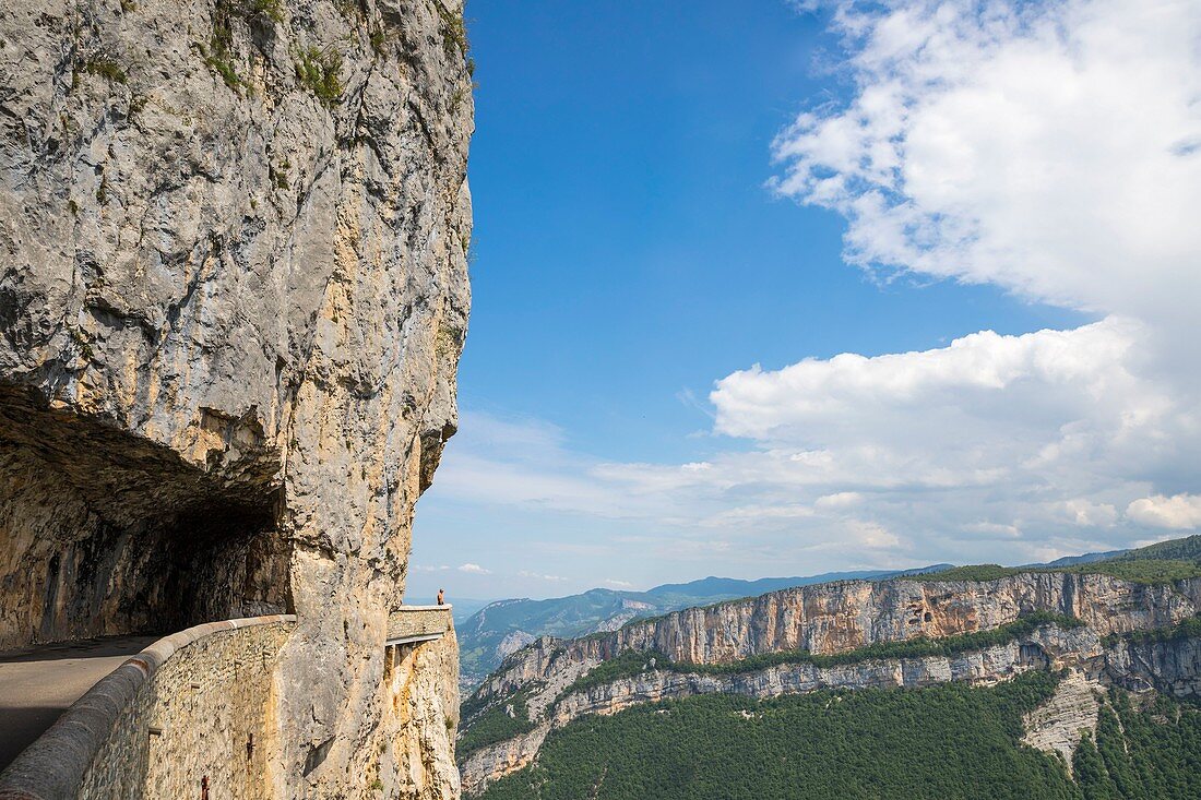 Frankreich, Drome, Vercors Regionaler Naturpark, Touristenroute D76 des Combe Laval Circus