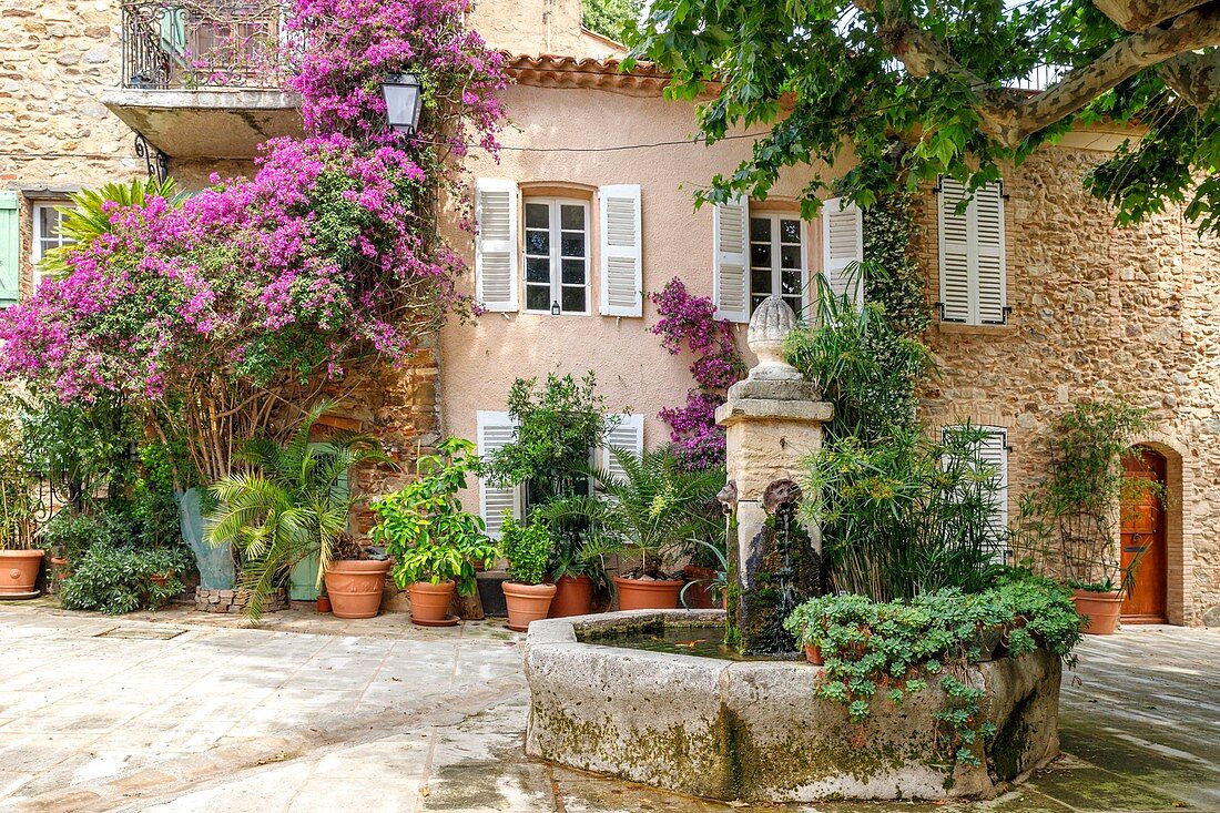 France, Var, Grimaud, fountain of the place the Placette