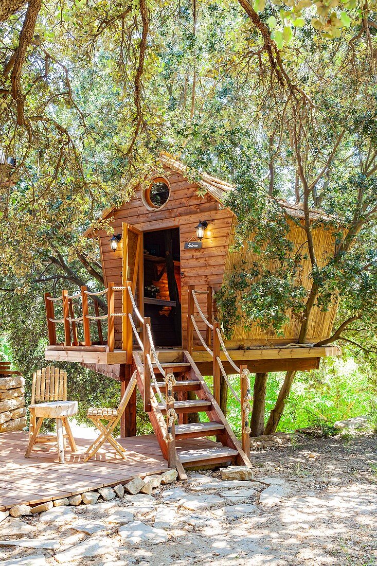 France, Bouches du Rhone, Cassis, provencal tree house