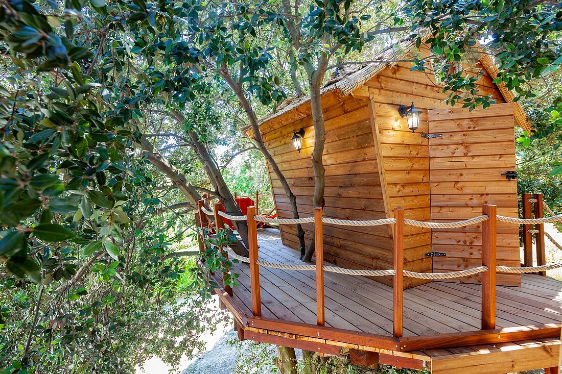 France, Bouches du Rhone, Cassis, provencal tree house