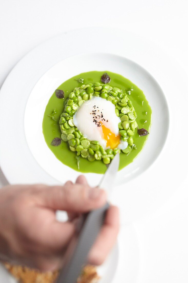 Frankreich, Paris, Guy Savoy Restaurant, Hotel de la Monnaie de Paris, perfektes Ei mit Erbsen