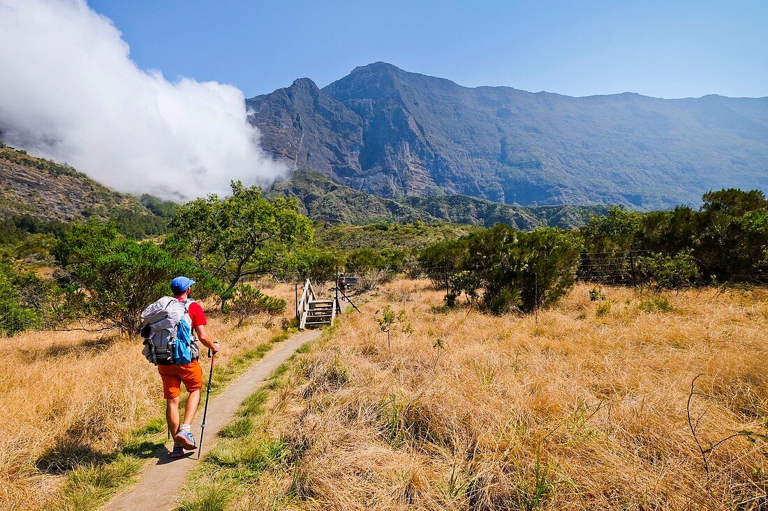 France, Reunion island, Saint Paul, the GR R2 path close to Marla, listed as World Heritage by UNESCO