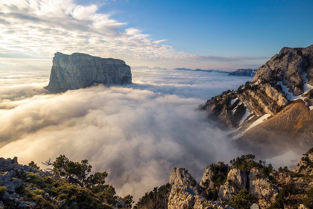 France, Isere, Vercors Regional Natural Park, National Highlands Vercors Nature Reserve, Mont Aiguille (2086m) emerges from a sea of clouds