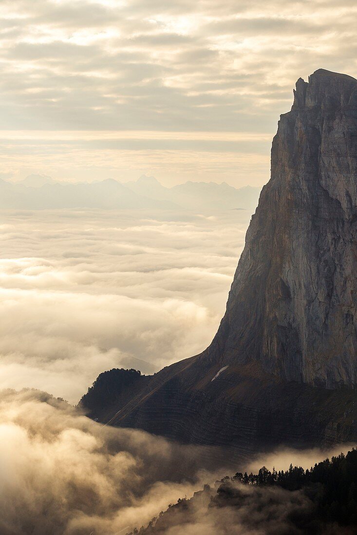 Frankreich, Isere, Vercors Regionaler Naturpark, Nationales Hochland Vercors Naturschutzgebiet, Mont Aiguille (2086 m) taucht aus einem Wolkenmeer auf