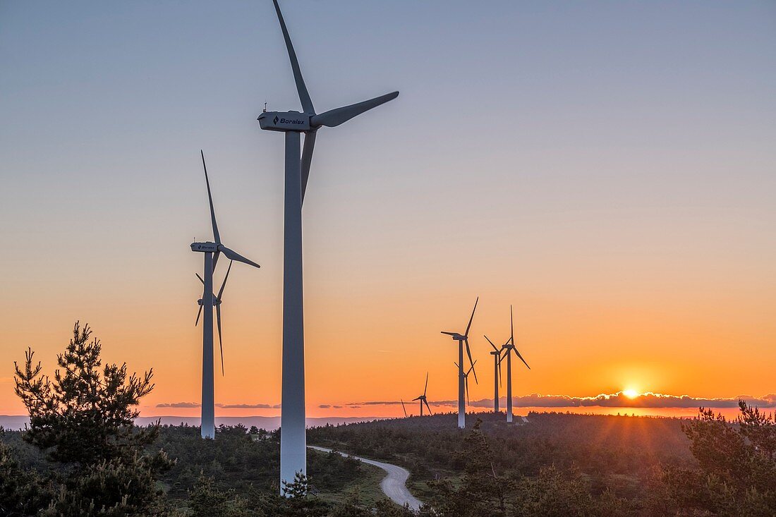 Frankreich, Ardeche, Massif du Tanargue, Regionaler Naturpark Monts d'Ardeche, Windpark, Col de La Chavade