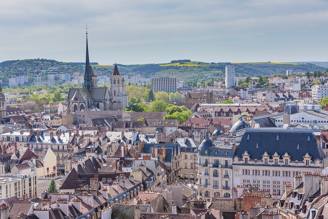 France, Cote d'Or, Dijon, area listed as World Heritage by UNESCO, Saint-B?nigne cathedral and downtown seen from the tower Philippe le Bon
