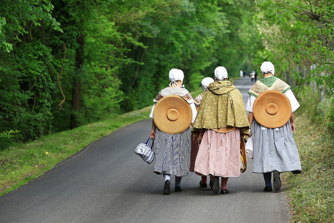 France, Var, Dracenie, Le Muy, rock of Roquebrune, site of La Roquette, festival of La Roquette