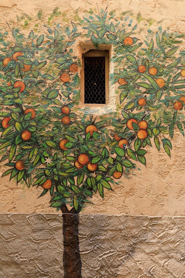 Frankreich, Var, Hyeres, Altstadt, Straße Sainte Catherine