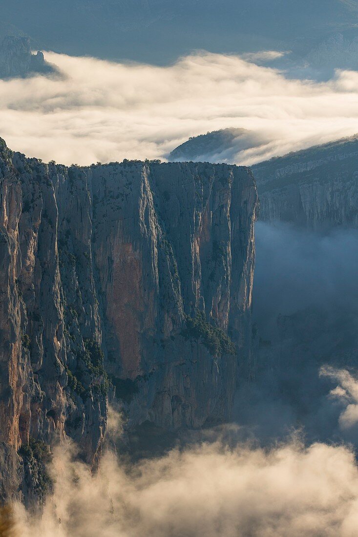 France, Var left bank and Alpes-de-Haute-Provence right bank, Verdon Regional Nature Park, Verdon Gorge, Grand Canyon, morning fog