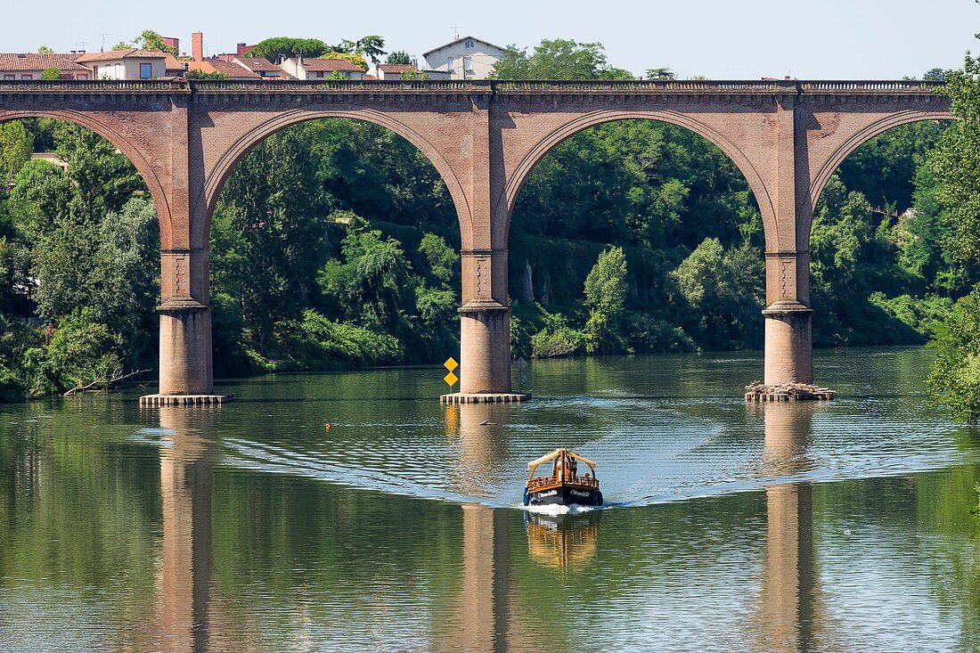 Frankreich, Tarn, Albi, die bischöfliche Stadt, die von der UNESCO zum Weltkulturerbe erklärt wurde, fahren auf dem Tarn