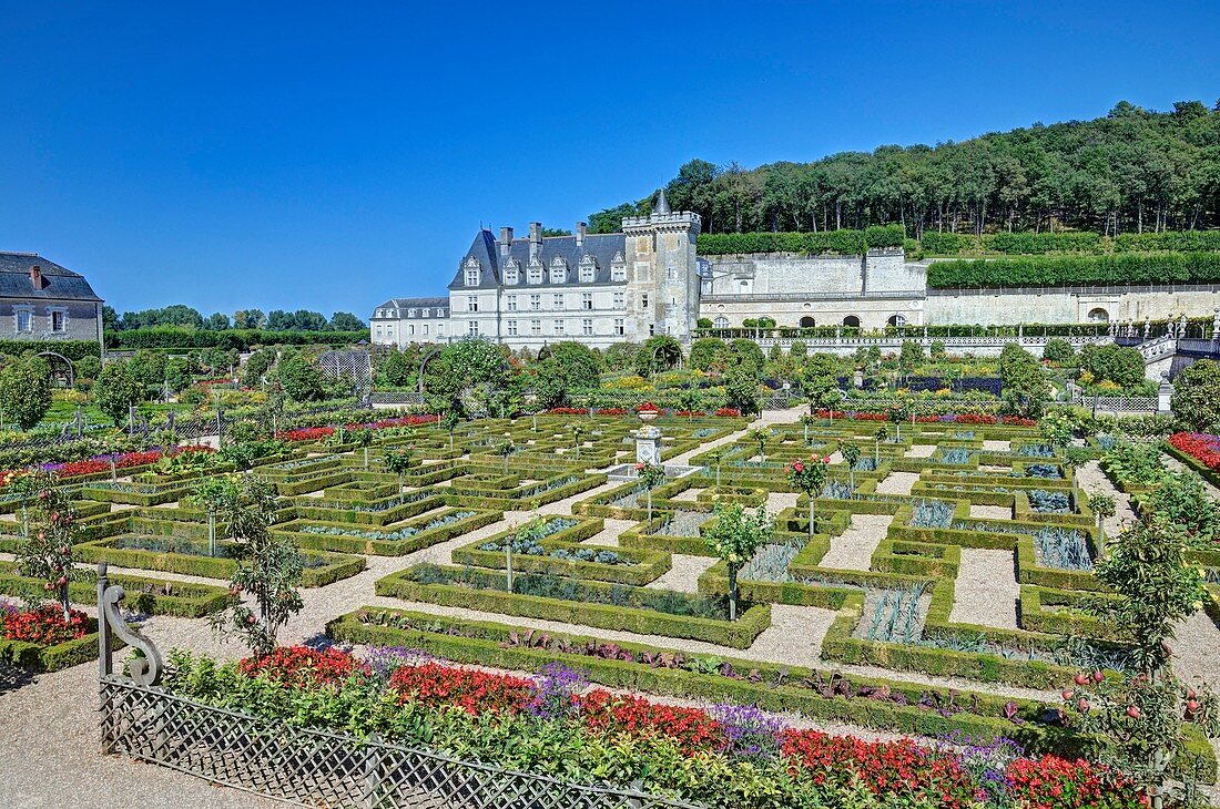 Frankreich, Indre et Loire, Loiretal, das von der UNESCO zum Weltkulturerbe erklärt wurde, das Schloss und die Gärten von Villandry, Eigentum von Angélique und Henri Carvallo