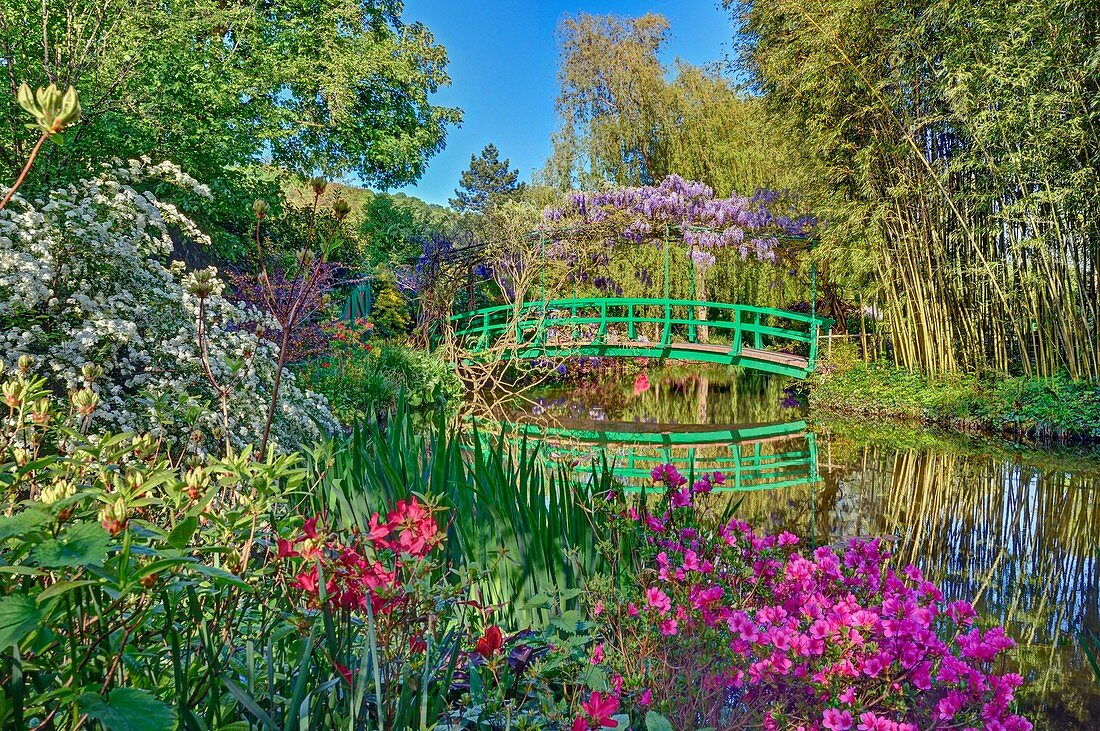France, Eure, Giverny, Claude Monet foundation, the japonese garden with wisteria in blossom