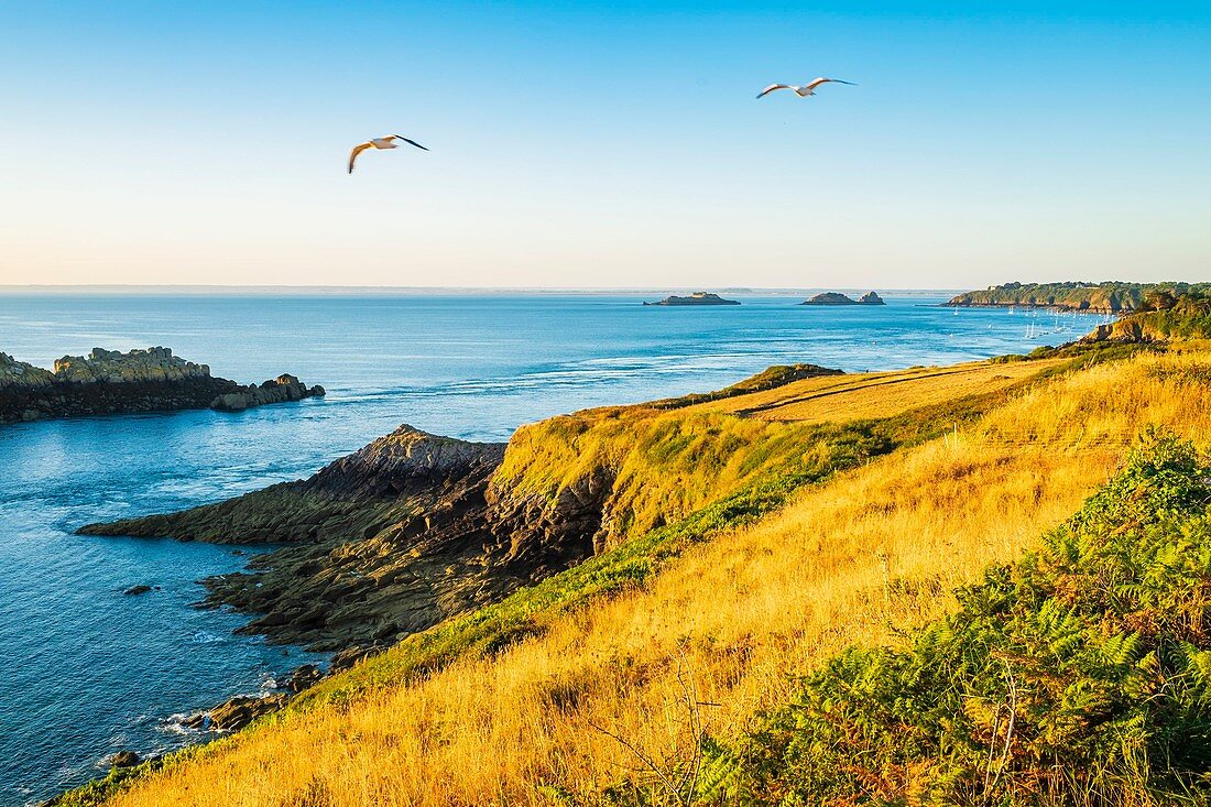 Frankreich, Ille-et-Vilaine, Smaragdküste, Cancale, Panorama von Pointe du Grouin, Insel Rimains im Hintergrund