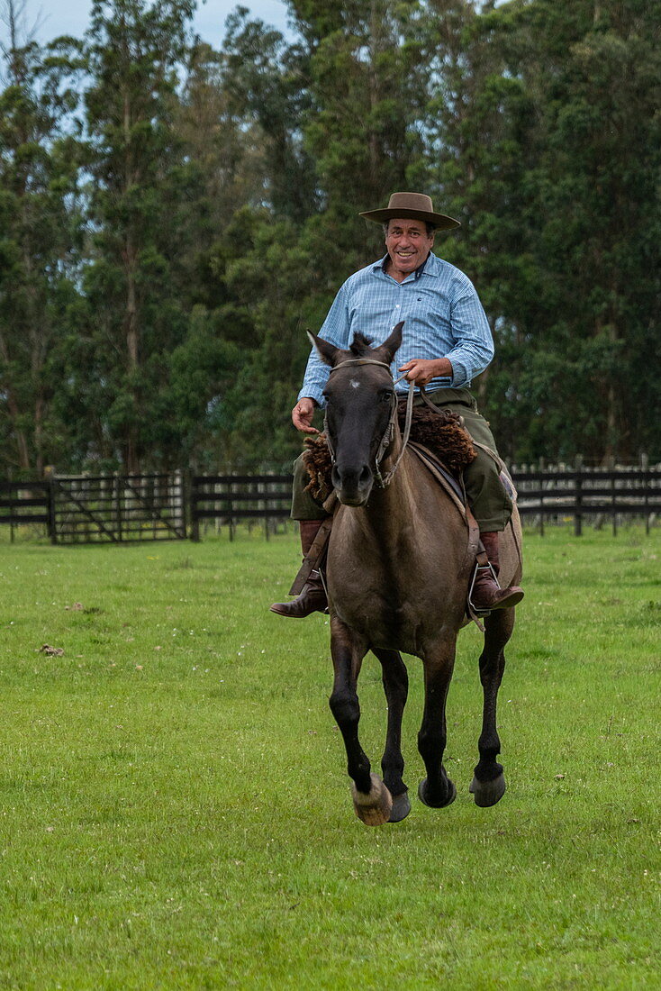 Gaucho reitet auf Pferd in der Finca Piedra, San José de Mayo, Colonia Department, Uruguay, Südamerika