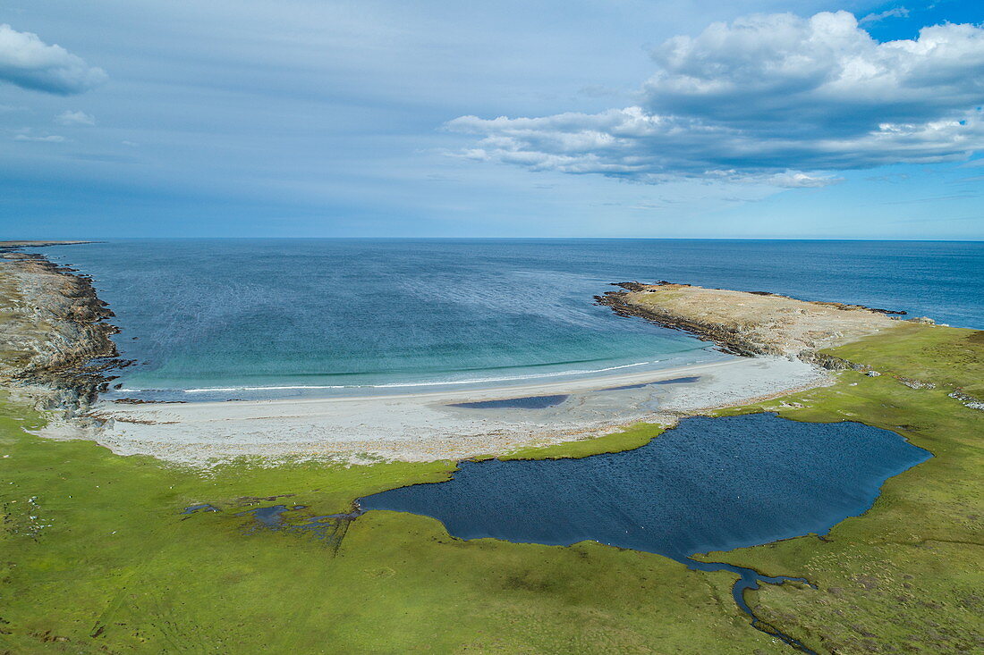 Luftaufnahme von Strand und Bucht, nahe Stanley, Falklandinseln, Britisches Überseegebiet, Südamerika