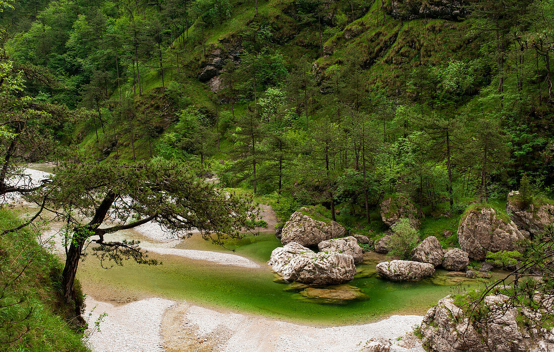 Blick auf die smaragdgrünen Becken von Fluss Meduna im Tramontina-Tal in Pordenone in der Region Friaul, Italien