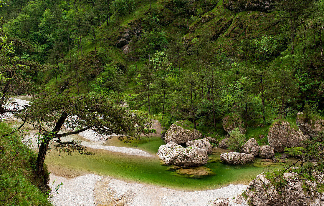 View on the emerald pools of the Meduna river, in the Tramontina Valley, Pordenone, in Friuli Region.Italy
