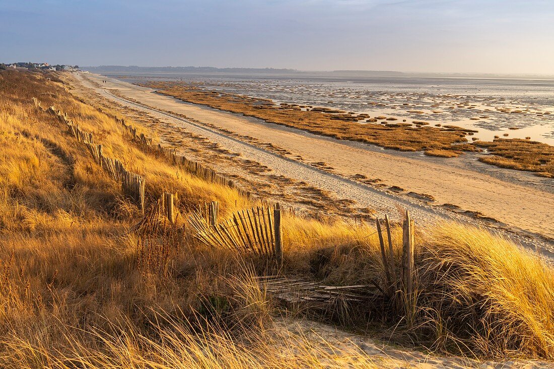 France, Somme, Baie de Somme, Le Crotoy, the Crotoy beach and the Baie de Somme seen from the dunes that line the bay