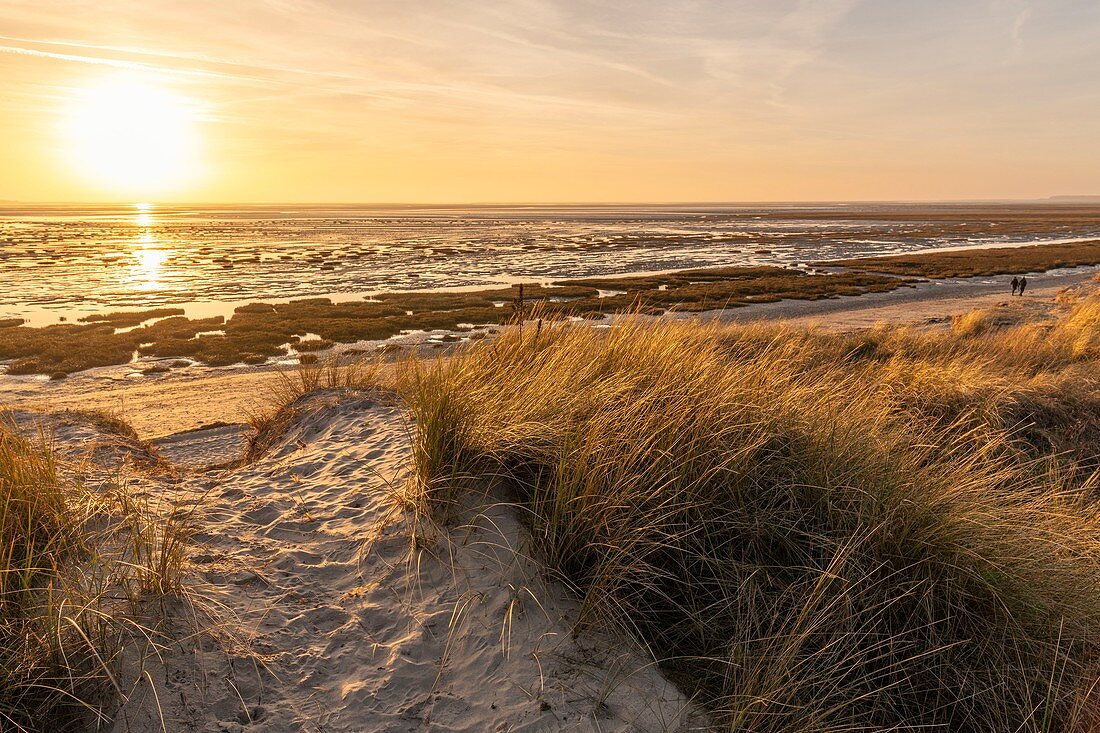 Frankreich, Somme, Baie de Somme, Le Crotoy, der Crotoy-Strand und die Baie de Somme von den Dünen entlang der Bucht aus gesehen