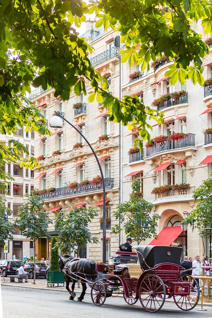 Frankreich, Paris, Champs Elysees Bezirk, Allee Montaigne