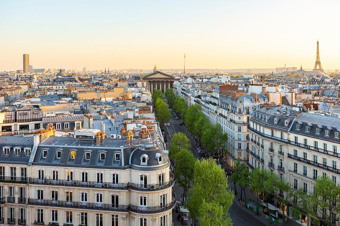 France, Paris, general view with rue Tronchet, Madeleine and Eiffel Tower