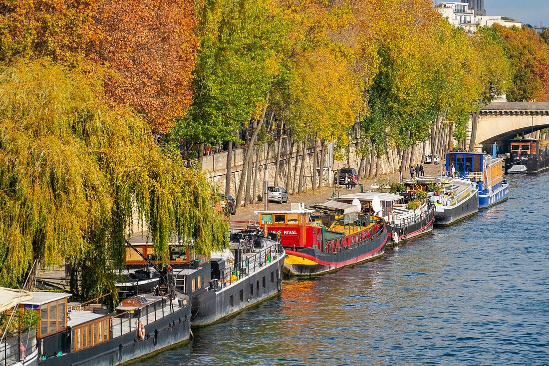 Frankreich, Paris, Gebiet, das von der UNESCO zum Weltkulturerbe erklärt wurde, die Ufer der Seine, der Hafen der Champs Elysees