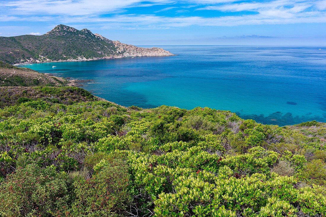 Frankreich, Haute Corse, Agriates Wüste