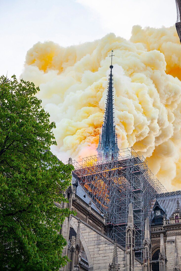 Frankreich, Paris, Gebiet, das von der UNESCO zum Weltkulturerbe erklärt wurde, Ile de la Cite, Kathedrale Notre Dame de Paris, Brand, der die Kathedrale am 15. April verwüstete